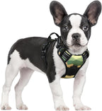 rabbitgoo Dog Harness, No Pull for Small Dogs with 2 Leash Clips, Pet Vest | No Choke with Handle, Adjustable Soft Padded, Reflective, Easy Control for Walking, Green Mountain, Small