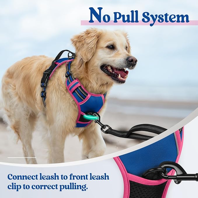 rabbitgoo Dog Harness, No Pull for Large Dogs with 2 Leash Clips, Pet Vest | No Choke with Handle, Adjustable Soft Padded, Reflective, Easy Control for Walking, Blue & Hot Pink, Large