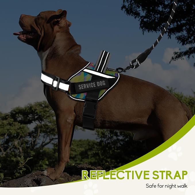 Service Dog Vest Harness and Leash Set, Animire in Training Dog Harness with 10 Dog Patches, Reflective Dog Leash with Soft Handle for Small, Medium, Large, and Extra-Large Dogs (Multi-Colored,S)