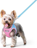 rabbitgoo Dog Harness Small Sized and Leash Set, Step-in Puppy Pet Vest | Light, Soft, Breathable Air Mesh, Easy on and Remove with Hook & Loop, Secure Reflective for Walking, Blue & Light Pink XS
