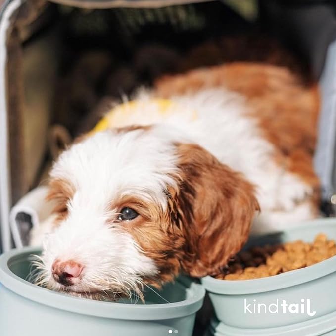 Dog Travel Bowls - Set of 2 Portable Pet Food & Water Dishes with Lid & Handle - Each Nesting Container Includes a Non-Slip Silicone Base - Microwave & Dishwasher Safe - BPA & Toxin-Free