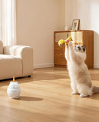 ROJECO Interactive Cat Toys, 2 in 1 Automatic Cat Toy with Flying Bird, 360°Rotation Moving Laser Kitten Toy, USB Rechargeable, Electronic Smart Sensor Kitten Toys, Suitable for Indoor Kitten