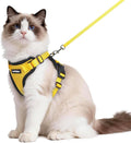 rabbitgoo Cat Harness and Leash Set, Escape Proof Vest, Yellow | Soft Breathable Mesh, Easy Adjustable Fit, Snap Buckles, Sturdy Clip, Reflective Strips, for Medium to Large Cats Walks, M