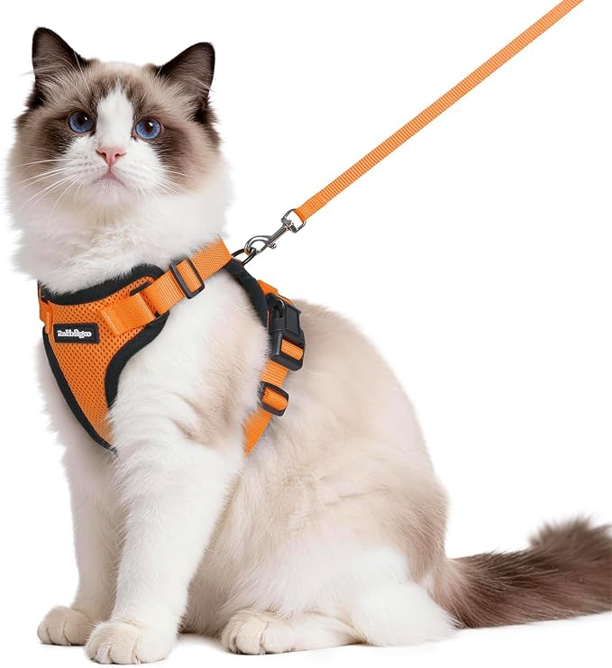 rabbitgoo Cat Harness and Leash Set, Escape Proof Vest, Orange | Soft Breathable Mesh, Easy Adjustable Fit, Snap Buckles, Sturdy Clip, Reflective Strips, for Medium to Large Cats Walks, M