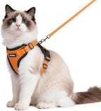 rabbitgoo Cat Harness and Leash Set, Escape Proof Vest, Orange | Soft Breathable Mesh, Easy Adjustable Fit, Snap Buckles, Sturdy Clip, Reflective Strips, for Medium to Large Cats Walks, M