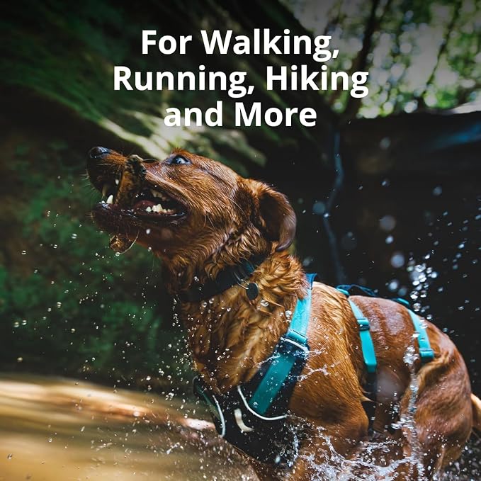Ruffwear, Flagline Dog Harness, Lightweight and Reflective, No Pull Dog Lift Harness for Hiking, Running and Everyday Use, Alpenglow Pink, Medium