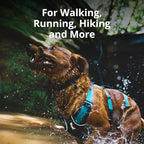 Ruffwear, Flagline Dog Harness, Lightweight and Reflective, No Pull Dog Lift Harness for Hiking, Running and Everyday Use, Sage Green, X-Small