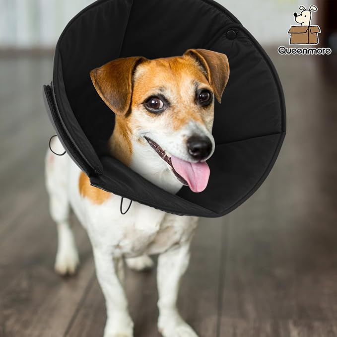 Queenmore Dog Cones for Large Dogs, Soft Dog Cone for Large Breeds, Cone for Dogs After Surgery, Adjustable Elizabethan Collar for Pet to Prevent Licking Wounds, Grey L