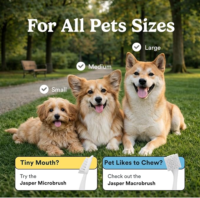 Jasper Dog Toothbrush, 360° Finger Toothbrush for Dogs & Cats, Blue 2-Pack | 12x More Bristles, Teeth Cleaning Kit for Small & Large Pets, Toothpaste Not Included, Fights Bad Breath, Extra Soft Silicone