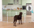 No Pawblems Full Metal Freestanding Dog Gate with Door, 30" Tall | Foldable Pet & Dog Fence for Stairs/Deck/Doorways, Indoor/Outdoor, Freestanding & Wall Mount, 104" Wide, 4 Panels, White