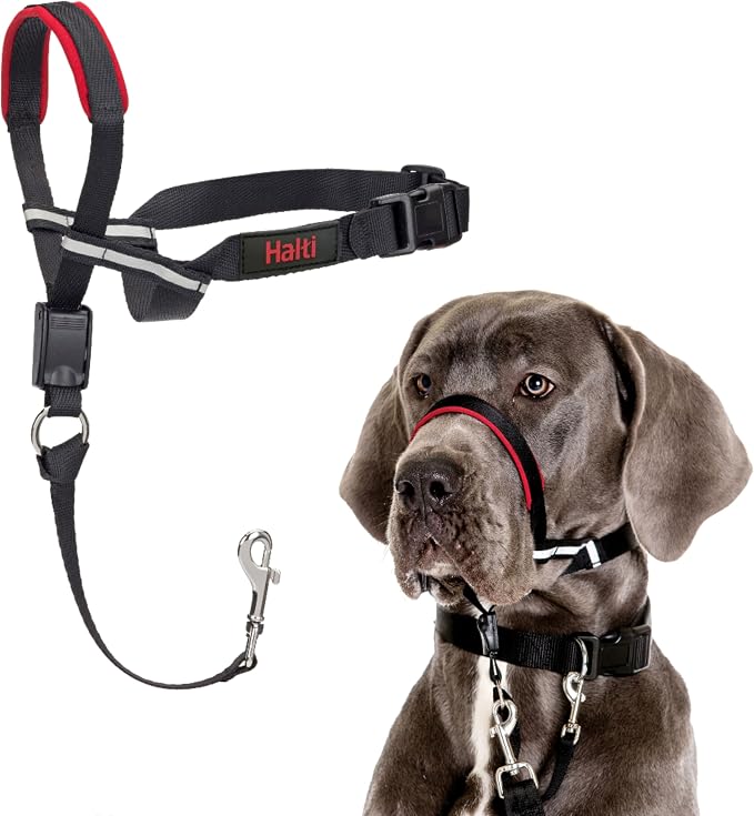 Halti Optifit Headcollar - Stop Your Dog Pulling on the Leash. Adjustable, Reflective and Lightweight, with Padded Nose Band. Dog Training Anti-Pull Collar for Large Dogs (Size Large) | Stop Your Dog Pulling on the Leash | Professional Anti-Pull Traini...