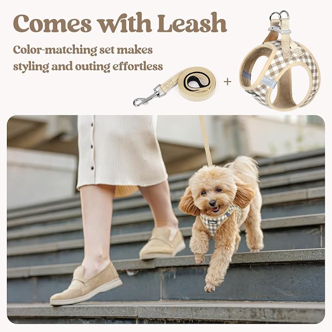 rabbitgoo Dog Harness Small Sized and Leash Set, Step-in Puppy Pet Vest | Light, Soft, Breathable Air Mesh, Easy on and Remove with Hook & Loop, Secure Reflective for Walking, Beige Check S