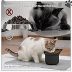 2 Pack Slow Feeder Cat Bowls, Silicone Tilted Raised Pet Bowl with Non Slip Base for Digestion Anti Vomit, Black, Green