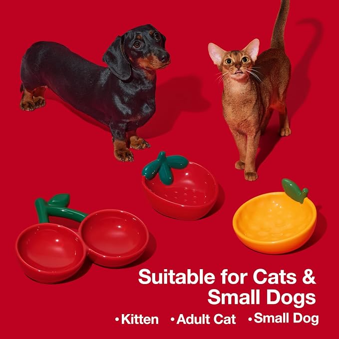 VETRESKA Ceramic Pet Bowl, Tilted Design Pet Feeder for Food and Water | Anti Vomit Cat Bowls for Indoor Cats Cute Tangerine Cat Bowl Dishwasher Safe