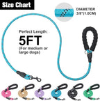 BEAUTYZOO Heavy Duty Rope Dog Leash 6 Pack, 6FT Nylon Pet Leash with Reflective Thread, Soft Padded Handle Thick Lead Leash for Large Medium Dogs Small Puppy, 1/2inch X 6 FT (18~120 lbs)