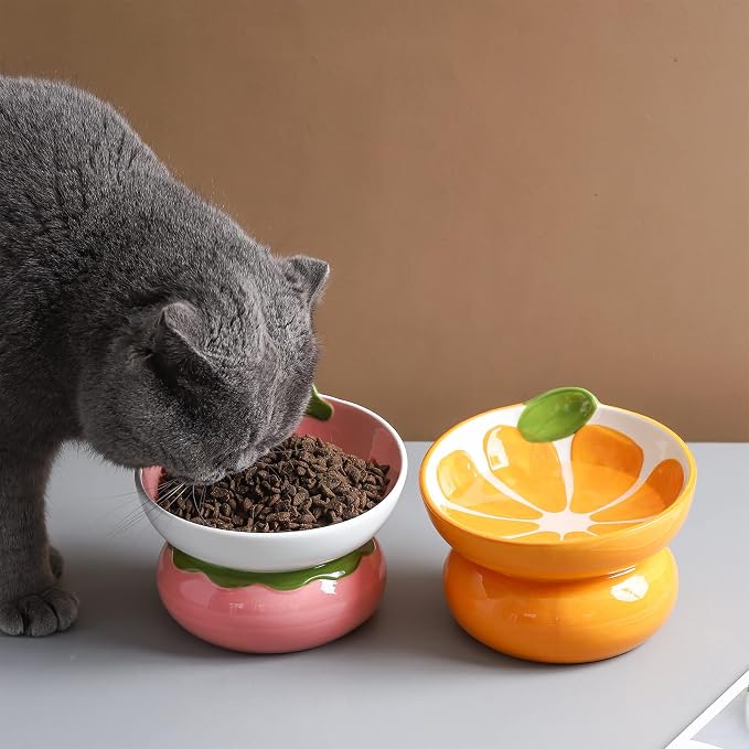 Ceramic Raised Cat Bowl, Pink, Strawberry Shaped | Elevated Food Bowl, Indoor Cats, Anti-Vomiting & Spine Protection, Cute Tilted Pet Dish, For Flat-Faced Cats and Kittens