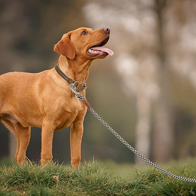 Mile High Life Dog Leash with Genuine Leather Handle, 6 FT/5 FT/4 FT | Leather Grip Rope Leash, Heavy Duty 360° Swivel Metal Clasp, for Small Medium & Large Dogs