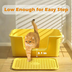 Large Cat Litter Box with High Sides for Indoor Cats,Low Entry Open Top Cat Litter Pan for Kittens,Big or Senior Cats,High Wall Easy Cleaning Anti-Splashing cat Litter Tray (Green)
