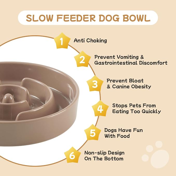 Havniva Elevated Slow Feeder Dog Bowls, Ceramic Dog Bowl Slow Feeder Set | 0.9 Cups Raised Slow Feeding Bowl for Small Breed, 6.1” Dog Water Bowl with Wooden Stand, Puzzle Dog Slow Feeder, Non-slip