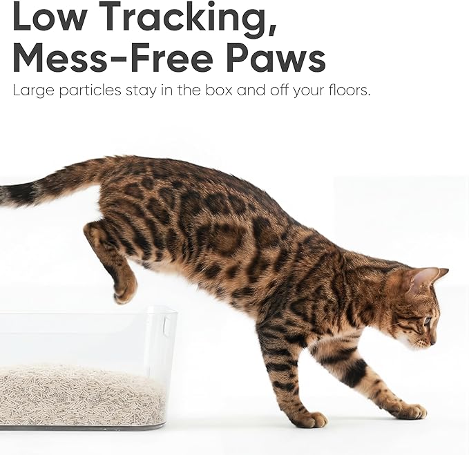 FUKUMARU Tofu Cat Litter, Bentonite Blend, Clumping, Odor Control, 18 lb | 30% Bentonite , Strong Clumping, Activated Carbon Odor Control, White Tea Scent