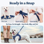 rabbitgoo Dog Harness Medium Sized and Leash Set, Step-in Puppy Pet Vest | Light, Soft, Breathable Air Mesh, Easy on and Remove with Hook & Loop, Secure Reflective for Walking, Navy Blue XL