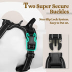 rabbitgoo Dog Harness, No Pull for Large Dogs with 2 Leash Clips, Pet Vest | No Choke with Handle, Adjustable Soft Padded, Reflective, Easy Control for Walking, Black, X-Large