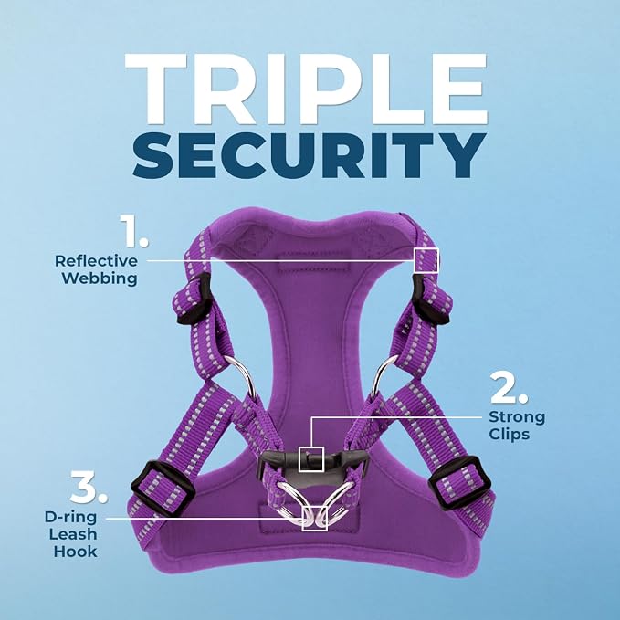 Best Pet Supplies Voyager Adjustable Step-in Flex Breathable Mesh Dog Harness for Small Medium Large Dogs Leash Set (Purple), XS