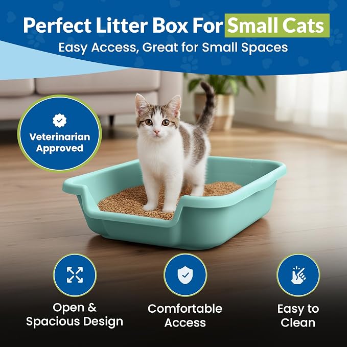 KittyGohere Senior Cat Litter Box Small with Scoop, Apple Green | Open Top Low Entrance Kitty Litter Box With With Long-handle Jumbo Scoop, Lightweight & Durable Litters Box, Made in USA