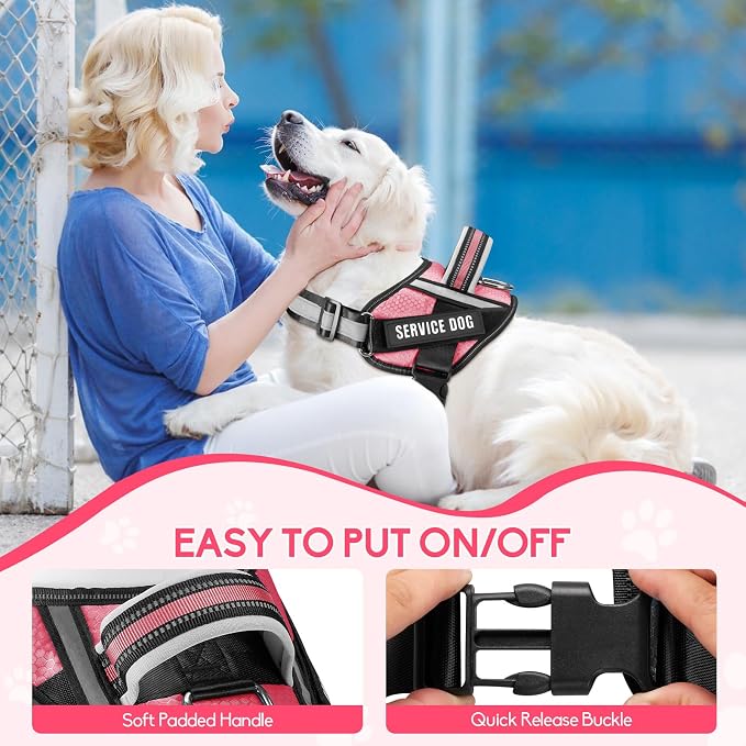 Service Dog Vest Harness and Leash Set, Animire in Training Dog Harness with 10 Dog Patches, Reflective Dog Leash with Soft Padded Handle for Small, Medium, Large, and Extra-Large Dogs (Rosy,XS)