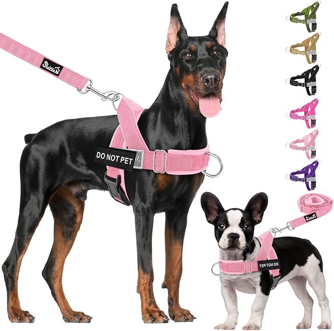 Lukovee No Pull Dog Harness and Leash Set - Adjustable Soft Padded Vest with Front Clip for Easy Control, Reflective Durable Harness for Safe Daily Training Walking for Medium Large Dogs (S, PI)