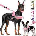 Lukovee No Pull Dog Harness and Leash Set - Adjustable Soft Padded Vest with Front Clip for Easy Control, Reflective Durable Harness for Safe Daily Training Walking for Medium Large Dogs (S, PI)