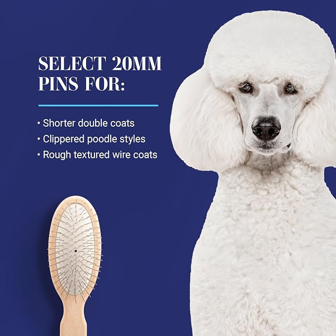 Chris Christensen 20 mm Oval Pin Dog Brush, Original Series, Groom Like a Professional, Stainless Steel Pins, Lightweight Beech Wood Body, Ground and Polished Tips