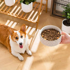 MALACASA Ceramic Dog Food Bowl, Water Dish for Medium Breeds, 3.5 Cups | Five-Leaf Grass Pattern, ceramic pet bowl, food and water dish, dishwasher and microwave safe, for medium dogs