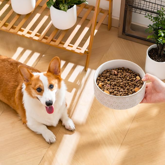 MALACASA Ceramic Dog Food Bowl, Water Dish for Medium Breeds, 3.5 Cups | Five-Leaf Grass Pattern, ceramic pet bowl, food and water dish, dishwasher and microwave safe, for medium dogs
