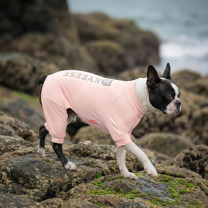 KYEESE UV Protection Dog Shirt, UPF 50+ Cooling Summer Jumpsuit for Small Dogs, Breathable Reflective Shedding Control Dog Sun Shirts, Quick-Dry Dogs Onesie Pet Clothes, Pink, M