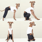 D Doggy Star Italian Greyhound Clothes Sleeveless Jeans Onesie Outfit Whippet for Dog Coat (S,Blue Jean)