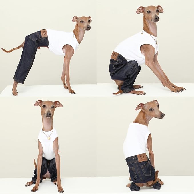 D Doggy Star Italian Greyhound Clothes Sleeveless Jeans Onesie Outfit Whippet for Dog Coat (XL,Blue Jean)