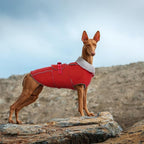 Lelepet Dog Coat Waterproof Dog Jacket Fleece Vest with Adjustable Buckle | Reflective Winter Coats with Adjustable Hook & Loop Closure Cold Weather Coats for Small Medium Large Dogs,Leash Hole Red, M