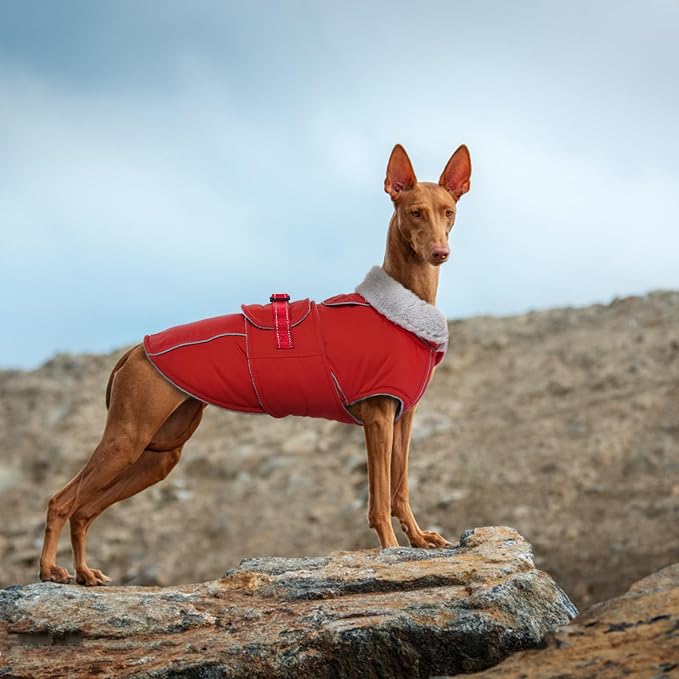 Lelepet Dog Coat Reflective Waterproof Fleece Vest with Adjustable Buckle | Reflective Winter Coats with Adjustable Hook & Loop Closure Cold Weather Coats for Small Medium Large Dogs,Leash Hole Red, L