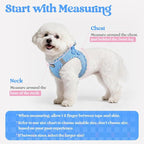 rabbitgoo Dog Harness Small Sized and Leash Set, Step-in Puppy Pet Vest | Light, Soft, Breathable Air Mesh, Easy on and Remove with Hook & Loop, Secure Reflective for Walking, Blue & Plaid Trim XS