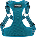Voyager Step-in Flex Adjustable Dog Harness - Turquoise, Small | 15 - 18" in Chest, Fully Adjustable, Reflective Bands, All Weather Breathable Air Mesh, Lightweight, Fast Drying