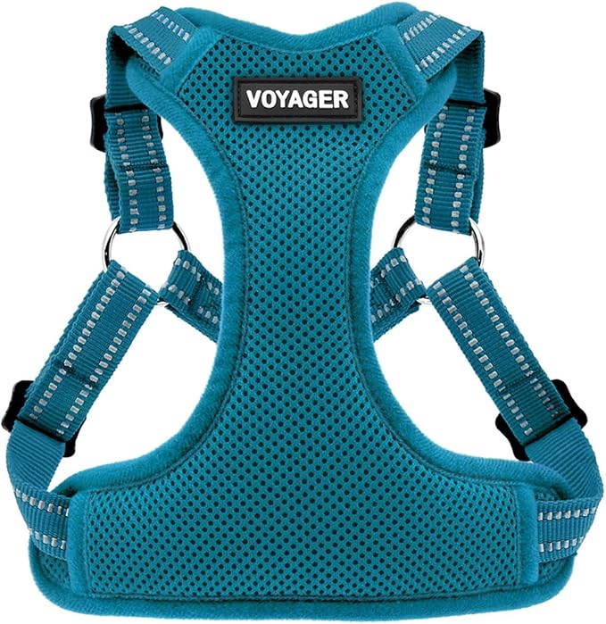 Voyager Step-in Flex Adjustable Dog Harness - Turquoise, Small | 15 - 18" in Chest, Fully Adjustable, Reflective Bands, All Weather Breathable Air Mesh, Lightweight, Fast Drying