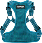 Voyager Step-in Flex Adjustable Dog Harness - Turquoise, X-Small | 13 - 16" in Chest, Fully Adjustable, Reflective Bands, All Weather Breathable Air Mesh, Lightweight, Fast Drying