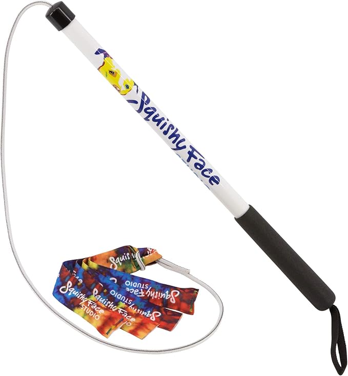 Squishy Face Studio Flirt Pole V2 with Lure - Durable Dog Toy for Fun Obedience Training & Exercise, Rainbow Tie Dye, Jr. - 24 inch
