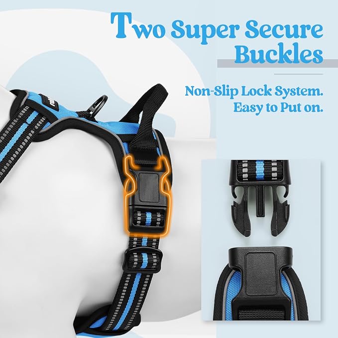 rabbitgoo Dog Harness, No Pull for Small Dogs with 2 Leash Clips, Pet Vest | No Choke with Handle, Adjustable Soft Padded, Reflective, Easy Control for Walking, Blue, Small
