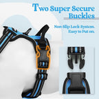 rabbitgoo Dog Harness, No Pull for Small Dogs with 2 Leash Clips, Pet Vest | No Choke with Handle, Adjustable Soft Padded, Reflective, Easy Control for Walking, Blue, Small