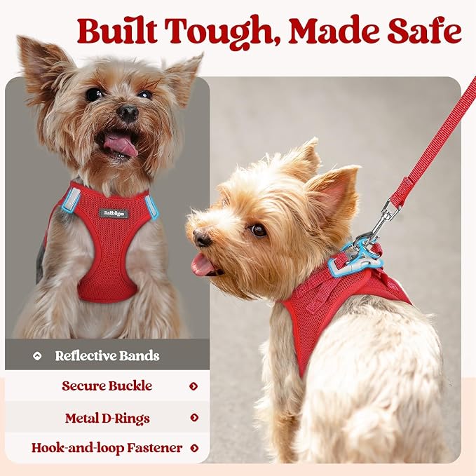 rabbitgoo Dog Harness Small Sized and Leash Set, Step-in Puppy Pet Vest | Light, Soft, Breathable Air Mesh, Easy on and Remove with Hook & Loop, Secure Reflective for Walking, Red XXS