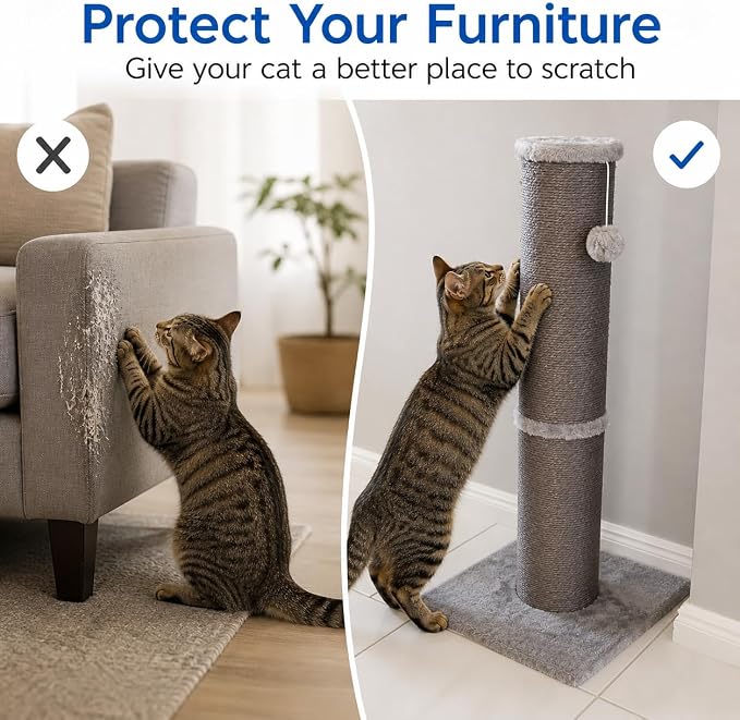 Cat Scratching Post with 5.5 Inch Diameter Sisal Post, 32 Inch, Grey | Extra-Wide Scratch Post, Wide Stable Base, Ideal Scratcher for Indoor Cats Adults to Stretch and Protect Furniture