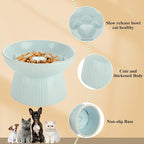 ABuff 2 Pack Raised Cat Slow Feeder, Elevated Slow Feed Dish for Cats and Small Dogs, Ceramic Slow Feeder Cat Bowl, No Spill High Edge for Dry/Wet Food(Blue, Green)