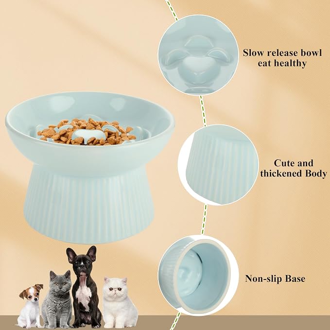 ABuff 2 Pack Raised Cat Slow Feeder, Elevated Slow Feed Dish for Cats and Small Dogs, Ceramic Slow Feeder Cat Bowl, No Spill High Edge for Dry/Wet Food(Blue, Green)